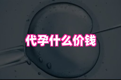 香港助孕网 2